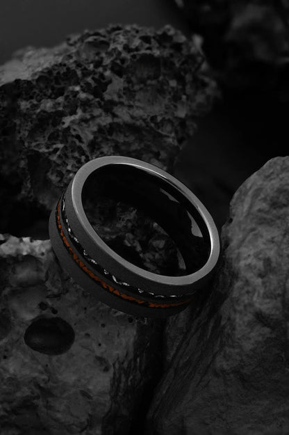 The Ares: Meteorite and Dinosour bone