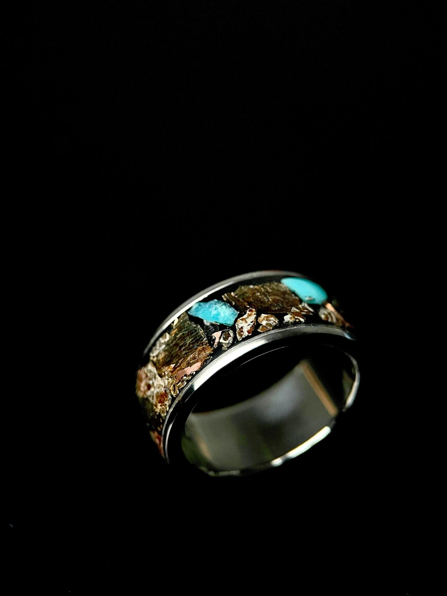 Vega : Dinosaur Bone, Megalodon Tooth, and Meteorite Ring